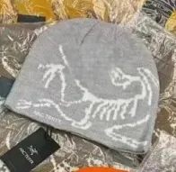 Arc'teryx Beanie Dinosaur Print