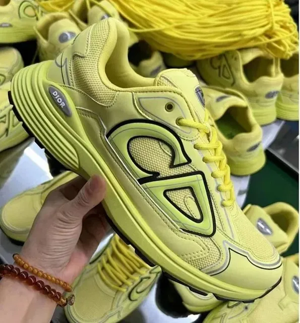 Dior sneakers Monogram