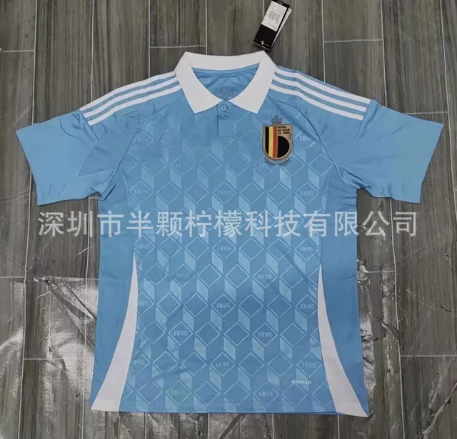 2024欧洲杯比利时客场