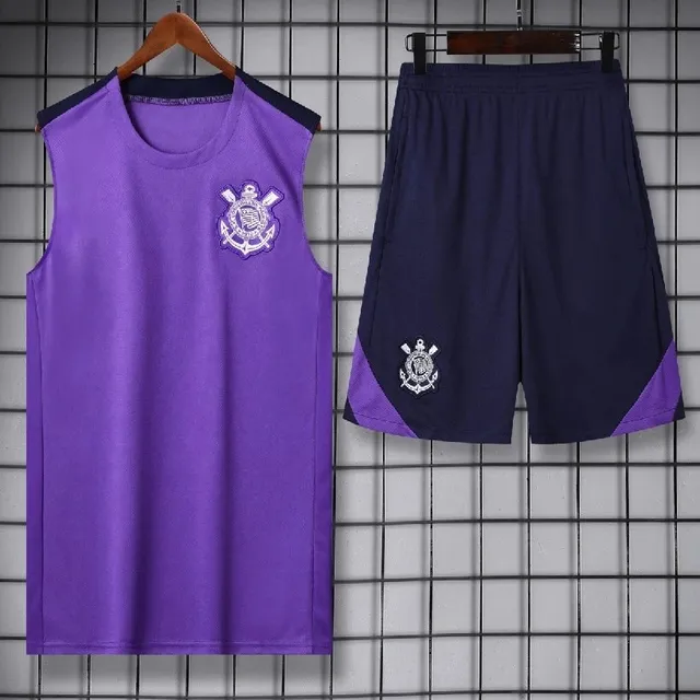 2526科林蒂安紫色