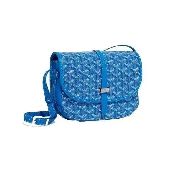 Goyard Saint Louis Monogram Canvas