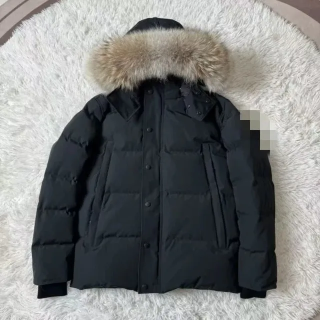 Black and black badge ( 黑色黑标)