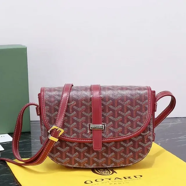 Goyard Saint Louis Chevron Canvas