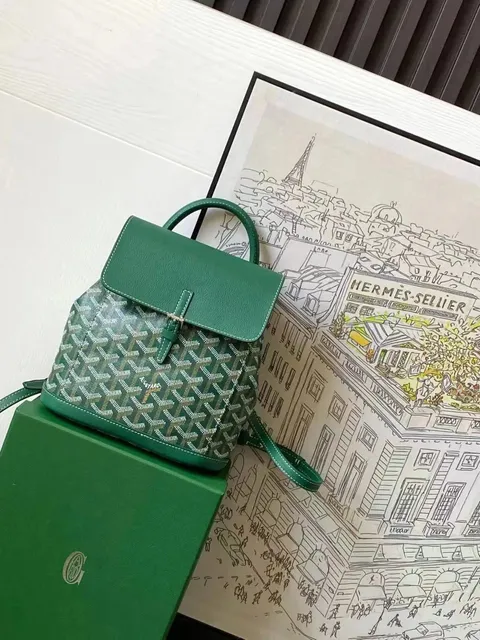 Goyard Saint Louis Backpack Goyardine Canvas