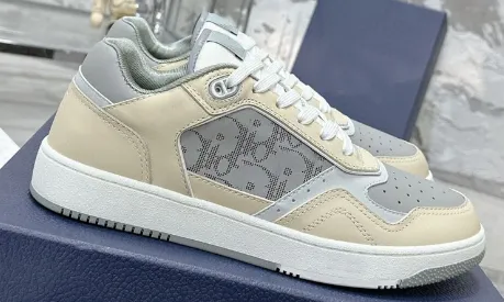 Dior B22