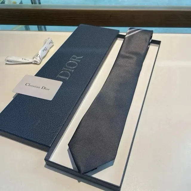Dior Necktie Solid Silk