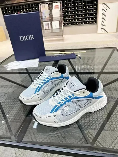 Dior B22 Blue and Grey