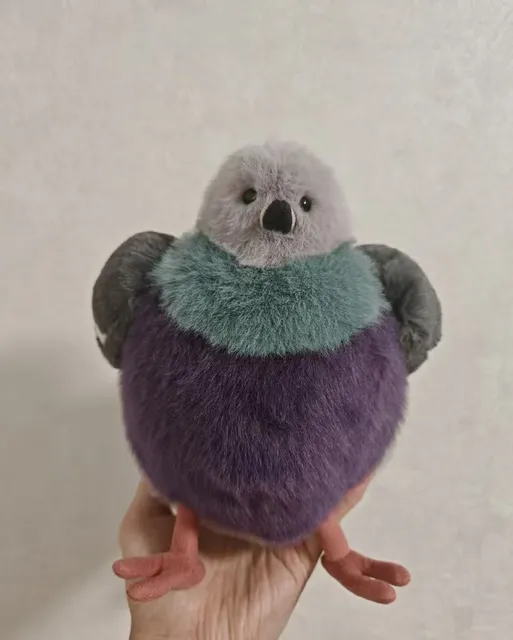 Leicester Purple Pigeon