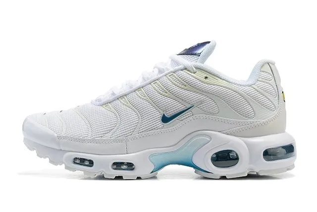 Nike Air Max Plus White/Blue
