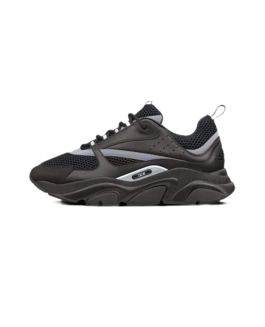 Dior B22