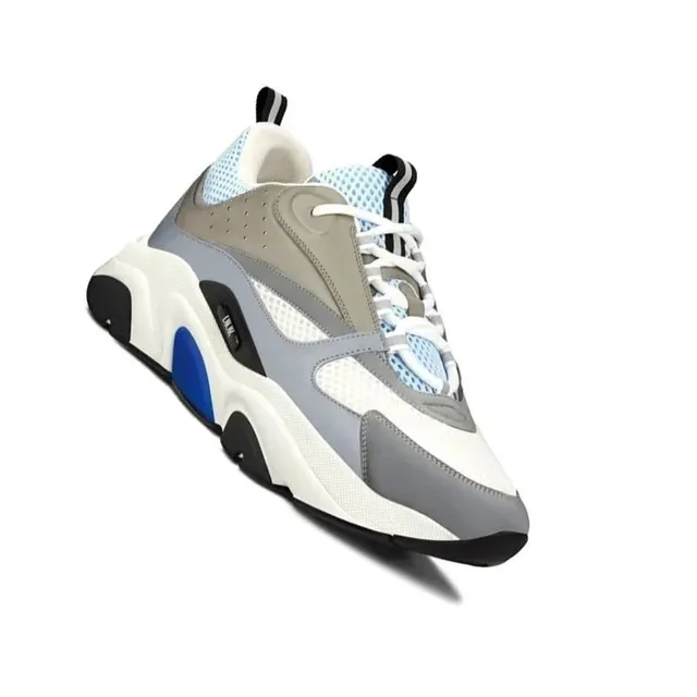Dior B22 Grey White Blue