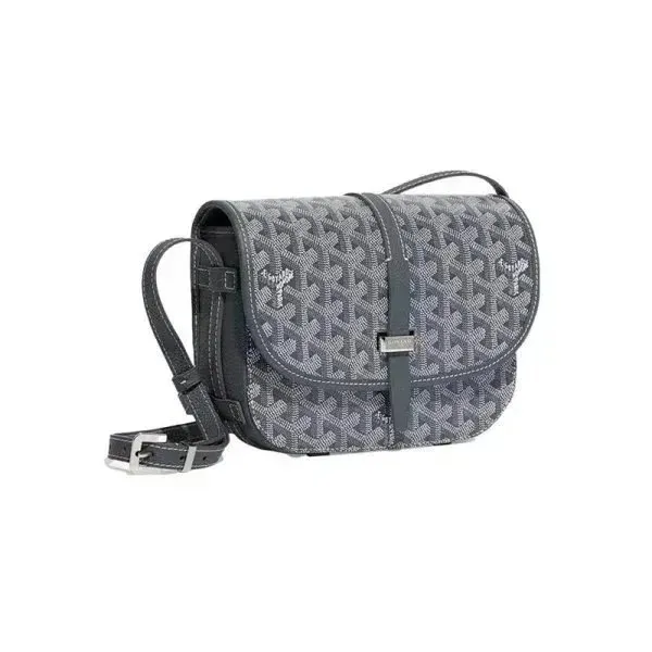 Goyard Saint Louis Monogram Canvas