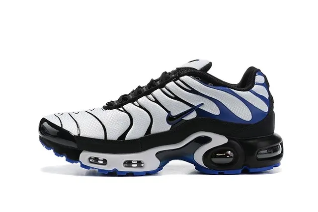 Nike Air Max Plus White/Blue