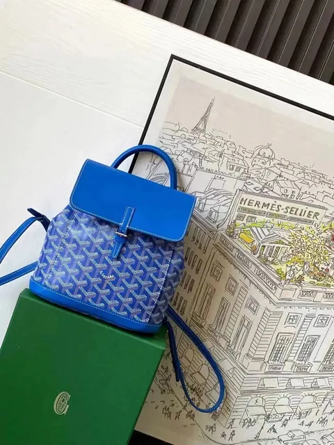 Goyard St. Louis Backpack Goyardine Canvas