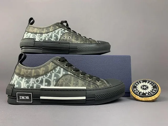 Dior B22 Low Oblique Print