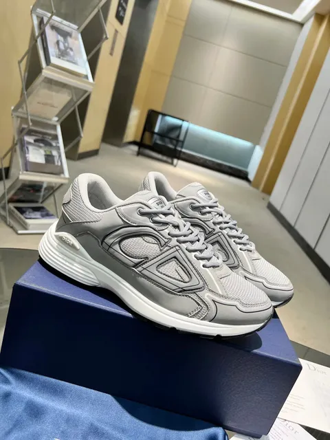 Dior B22 Grey Mesh and Leather