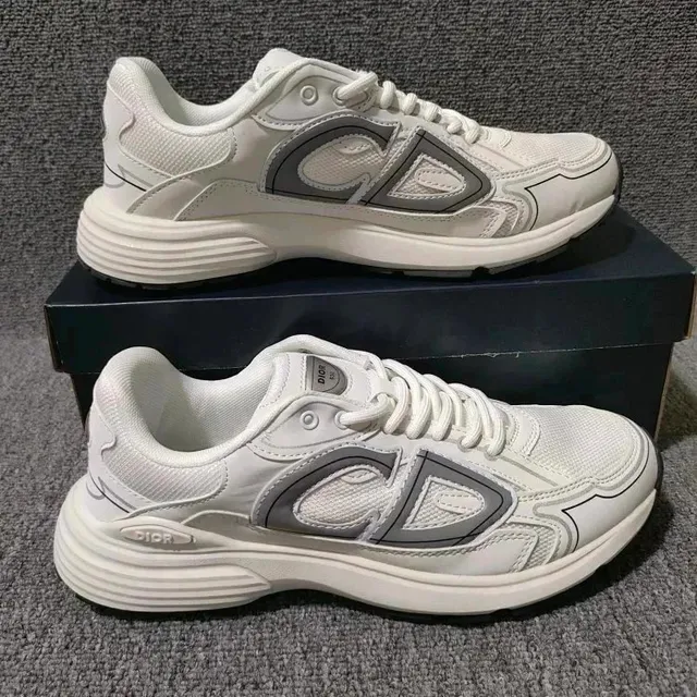 Dior B23 Low White Grey