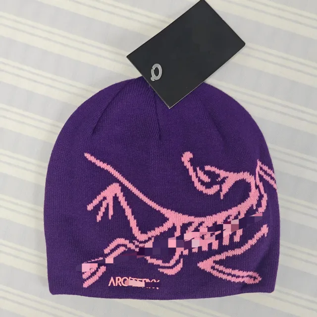 Beanie Arc'teryx Logo