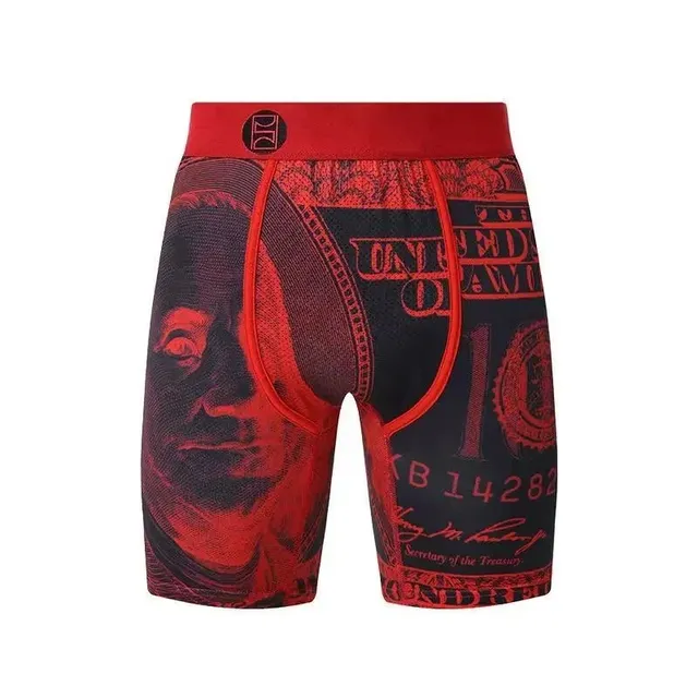 Boxer Brief Money Print