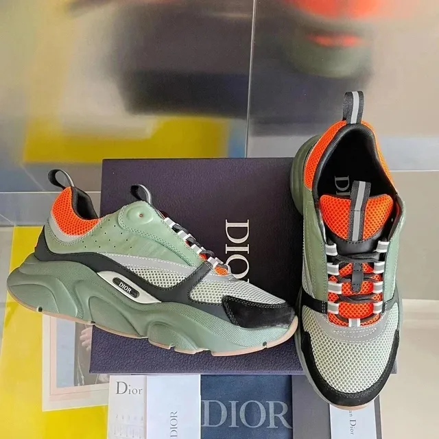 Dior B22