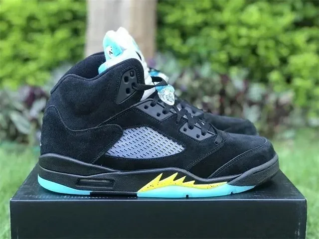Air Jordan 5 Laney