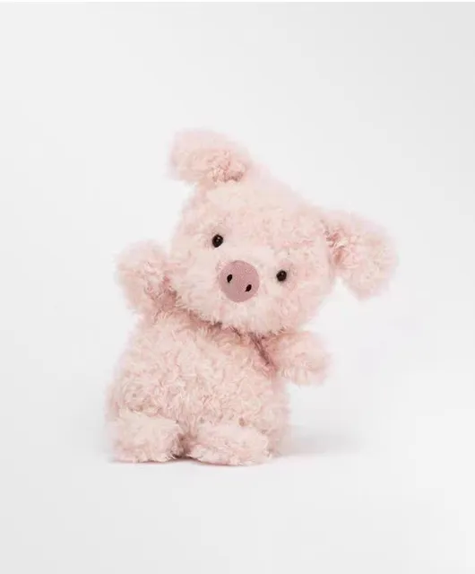 Curly pig