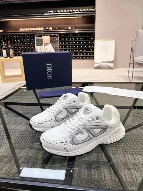 Dior B22 White Grey