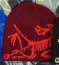Arc'teryx Beanie Dinosaur Logo