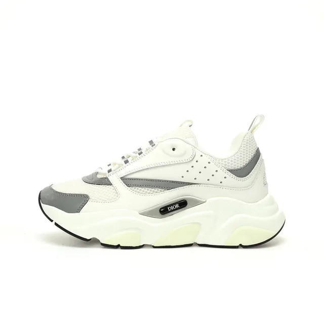 Dior B22 White Grey