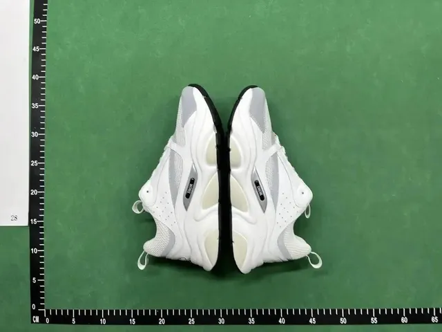 Dior B22 White Grey