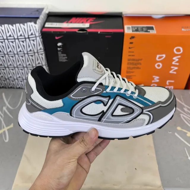Dior × Nike B22 White Grey Blue