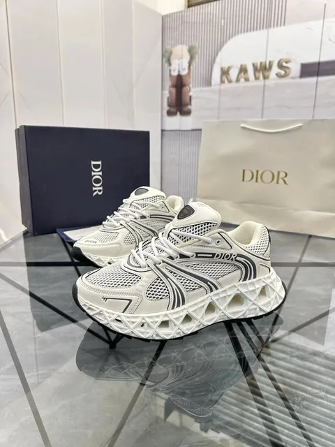 Dior × KAWS B22 White Grey Mesh