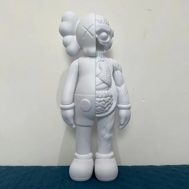 20cm 半解剖 白色【盒装】