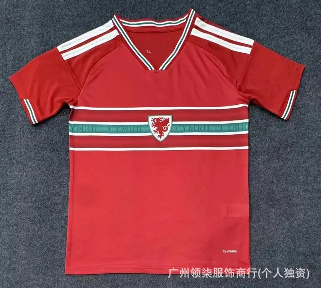 2627威尔士主场
