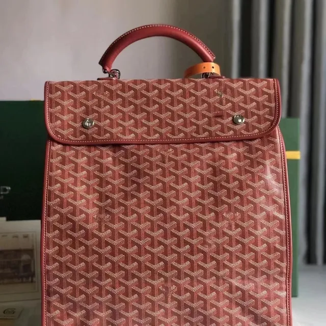 Goyard Saint Louis Chevron Canvas