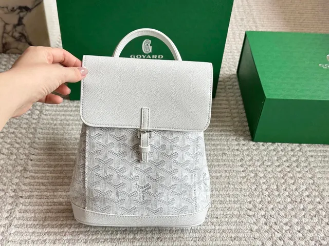 Goyard Saint Louis Backpack White Chevron Canvas