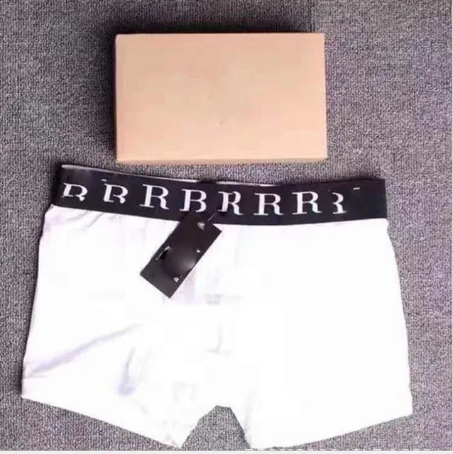 Burberry Boxer Briefs Logo Waistband