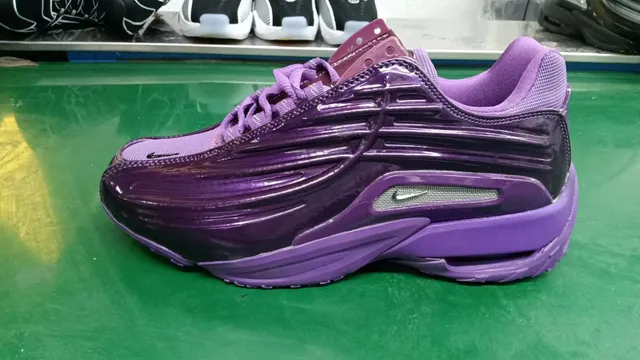 Nike Air Max TN Purple