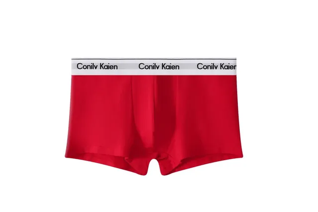 Boxer Brief Logo Waistband