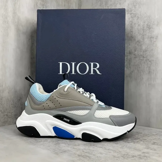 Dior B22 Grey White Blue