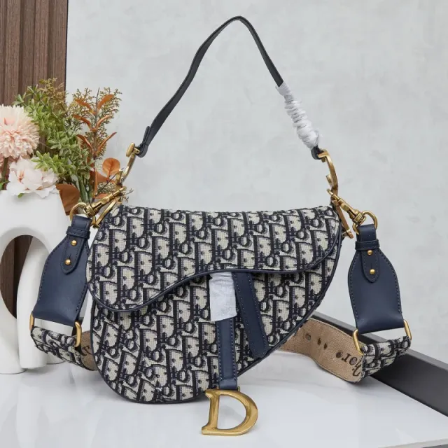 Dior Saddle Bag Oblique Canvas