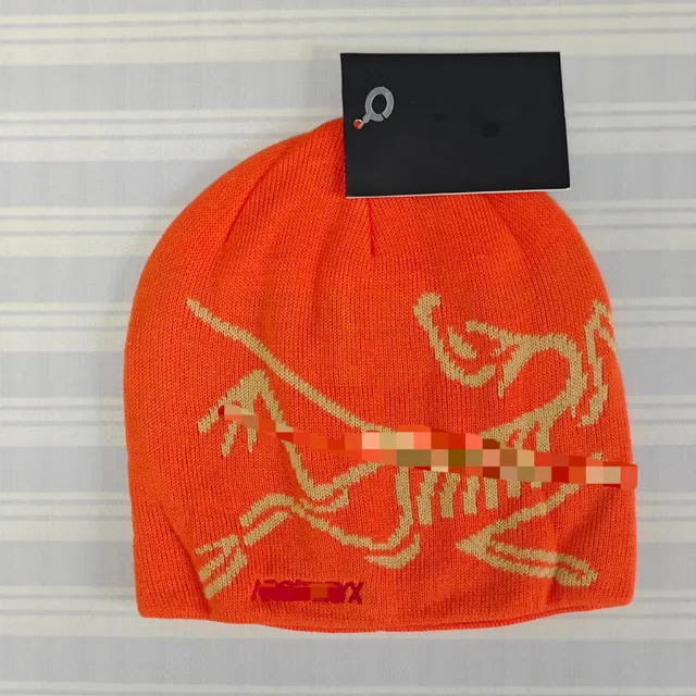 Beanie Arc'teryx Logo Knit