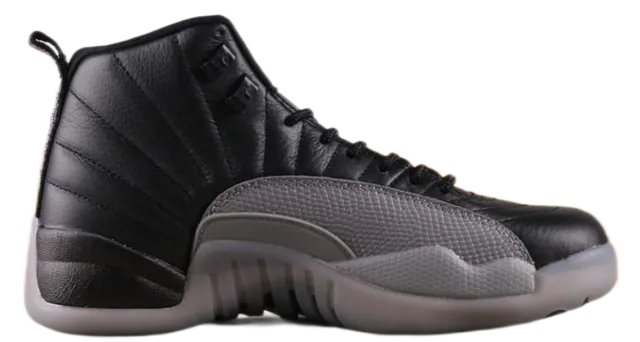 Air Jordan 12
