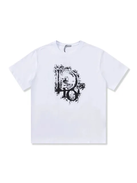 Dior T-Shirt Distressed Oblique Logo