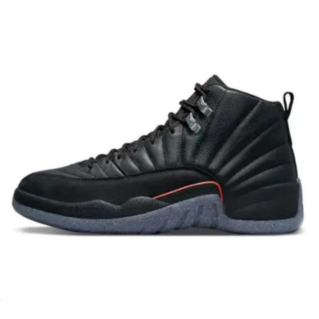 Air Jordan 12 Flu Game