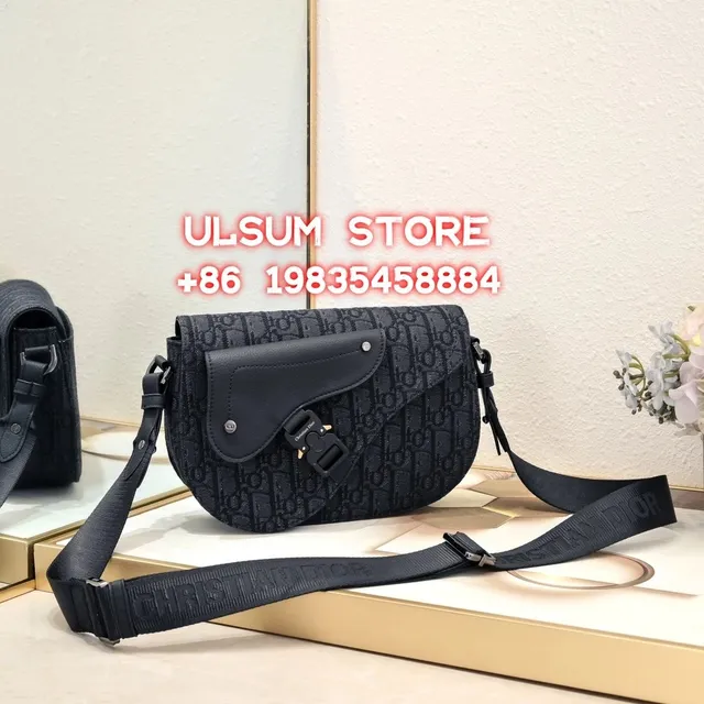 Dior handbags Oblique Monogram