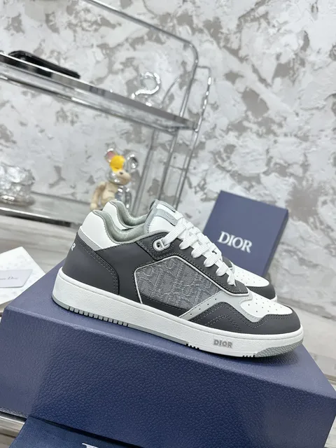 Dior B22 Grey and White