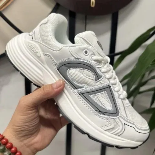 Dior B22 White Grey