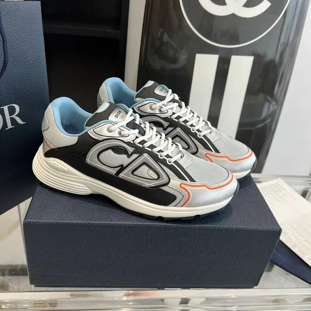 Dior B22 Silver Grey