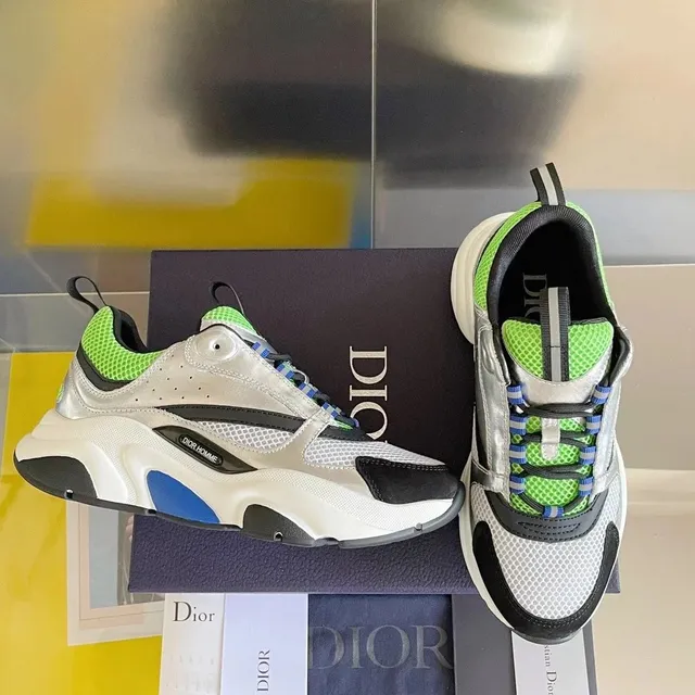 Dior sneakers